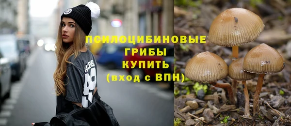 марки nbome Алексеевка