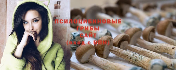 марки nbome Алексеевка