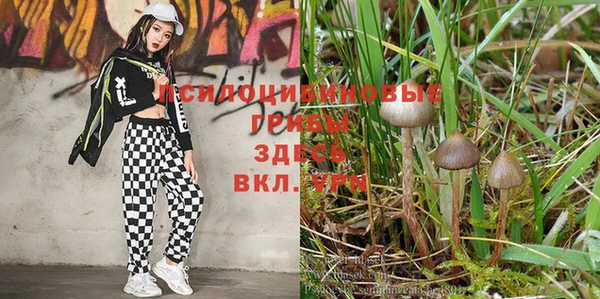 кокаин колумбия Алзамай