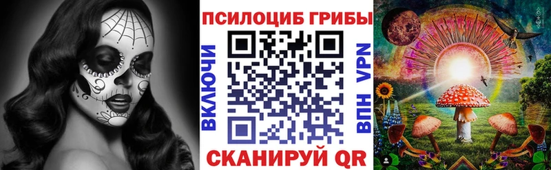 даркнет формула  Волхов  Галлюциногенные грибы GOLDEN TEACHER 